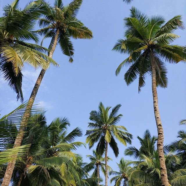 Varca Beach – Travel Guide, Travel Tips, Places to Visit, Hotels and