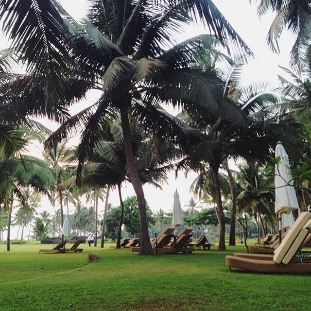 Ashwem Beach Travel Guide, Travel Tips, Places to Visit, Hotels and