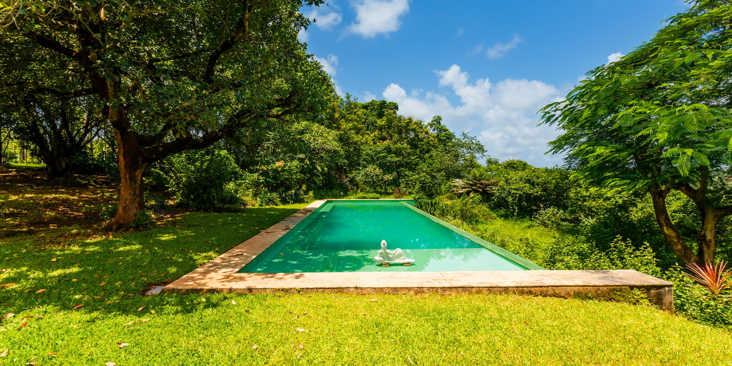 Jungle Villa 2