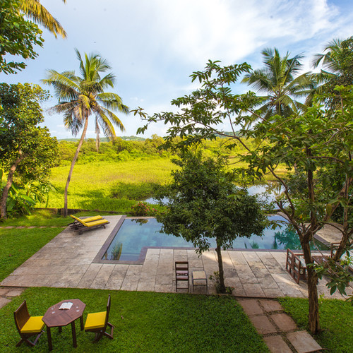 Garden with pool