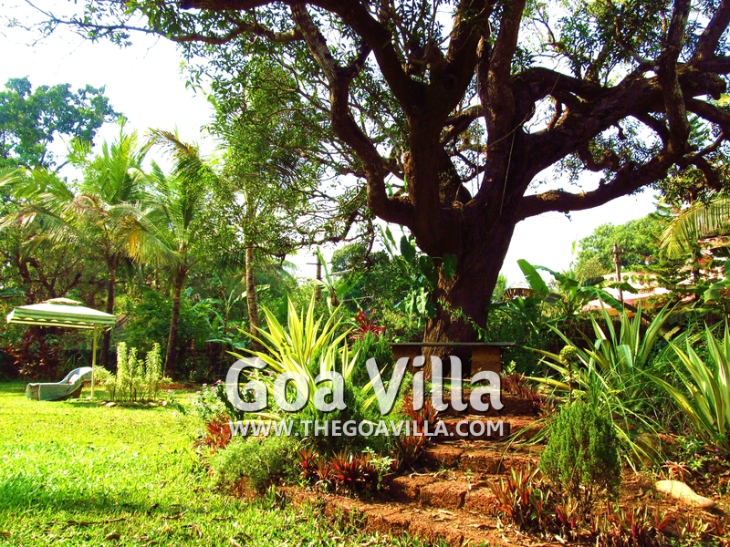 Mila Calista Heritage