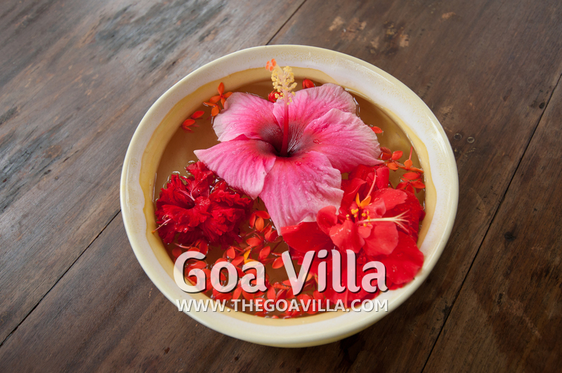 Village Fenix Goa