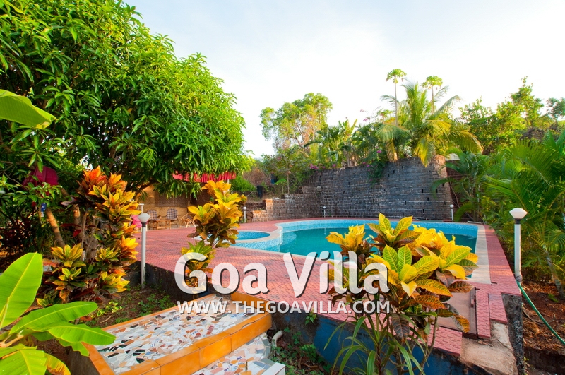 Tia Garden