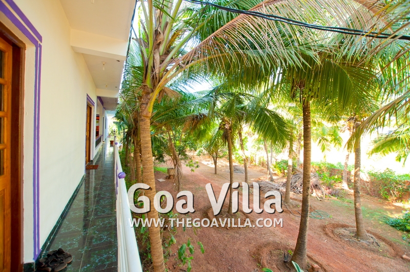 Casa Olivia