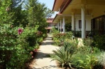 New Villa