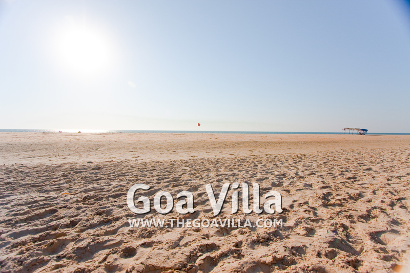 Camille Via