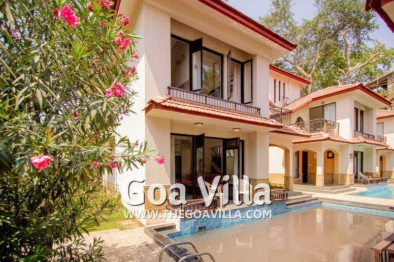Greek Valley B
