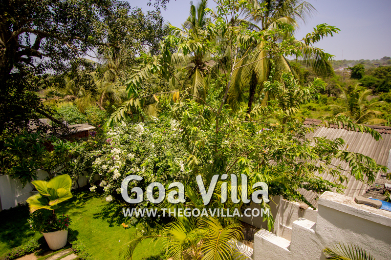Bollywood Villa #1