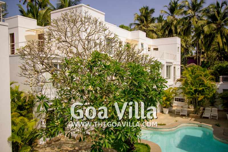 Bollywood Villa #3