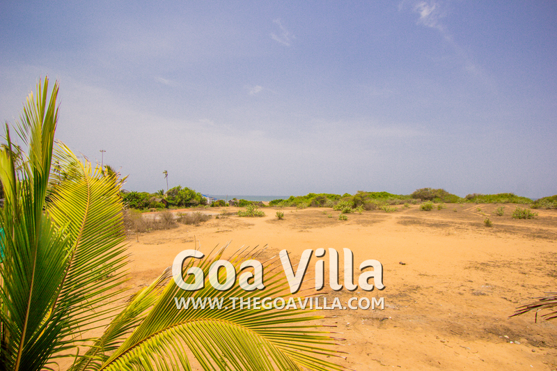 The Modern Guest House