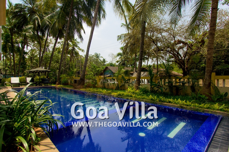 Palolem 1BHK Apartment