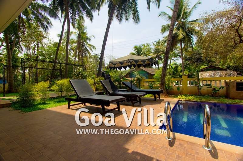 Palolem 1BHK Apartment
