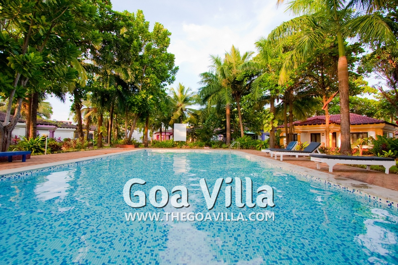 Mara Breeze