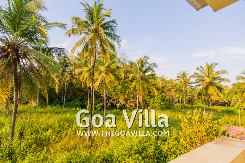 Row Goa Villa