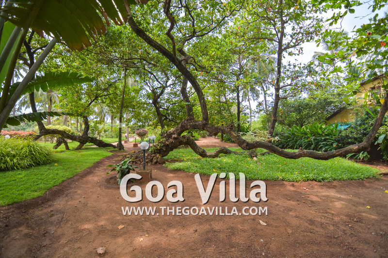Villa Yasmine
