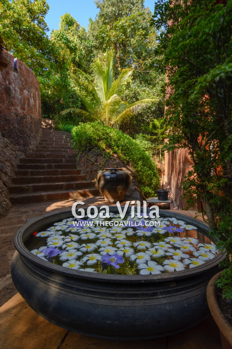 Dream River Villa