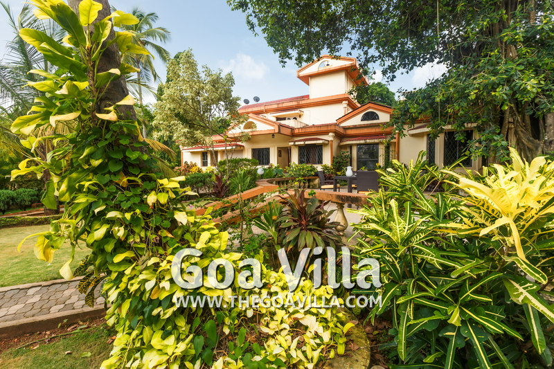 The Tiger Villa
