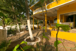 Yellow Point
