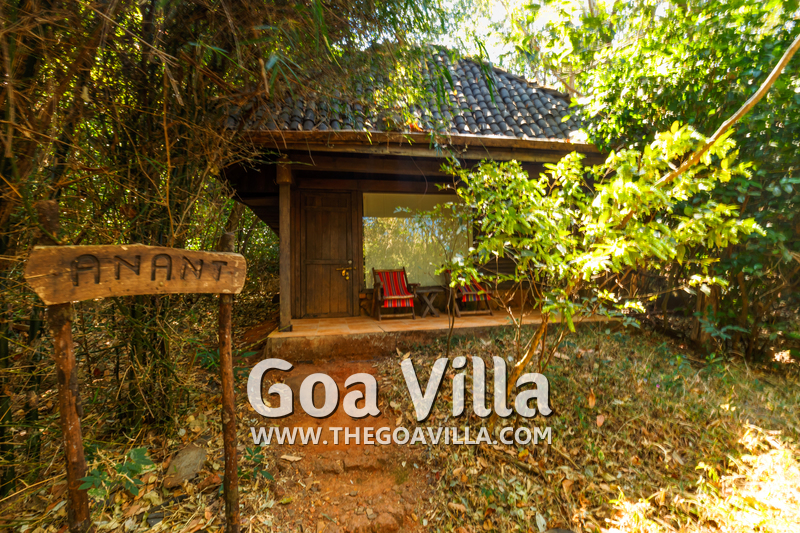 Wellness Retreat