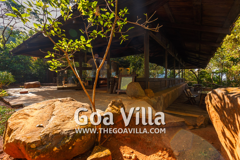 Wellness Retreat