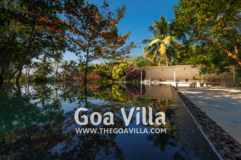 Forest Villa
