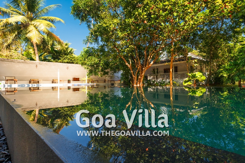 Forest Villa
