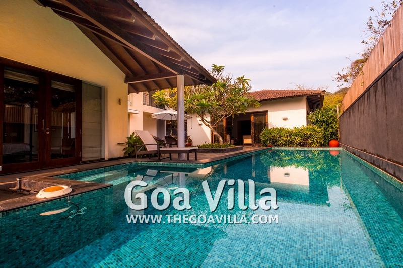 David Villa