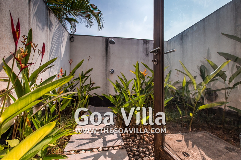 David Villa