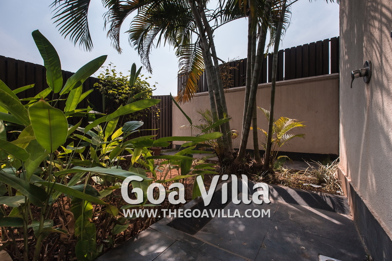 David Villa