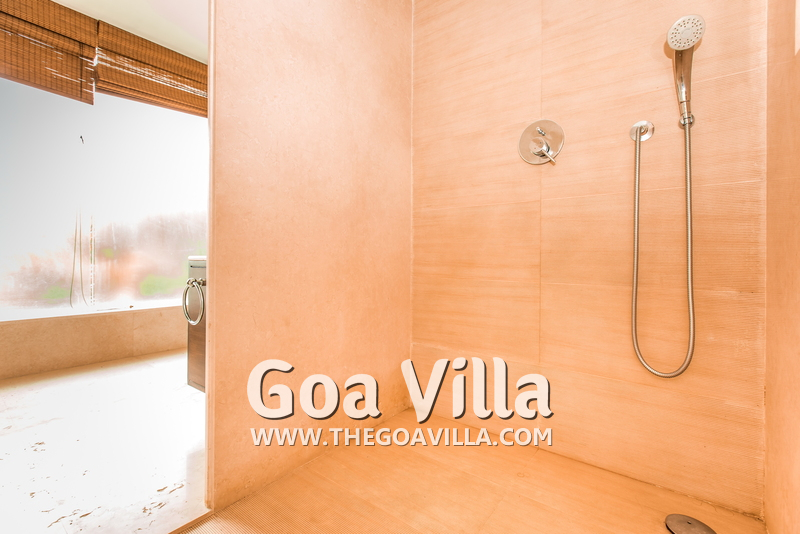 David Villa