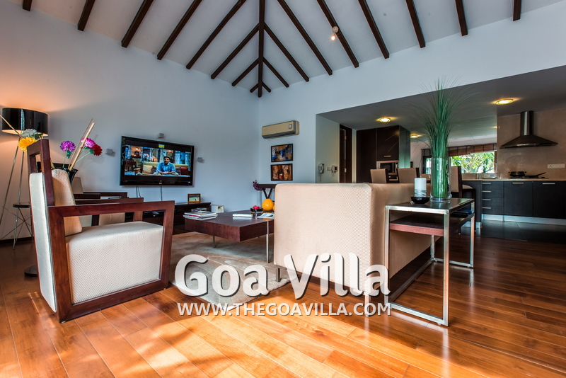 David Villa