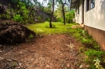 Wild Nature Cottage