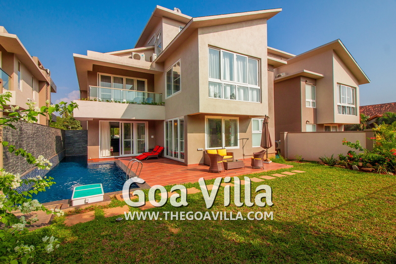 Molly  Villa
