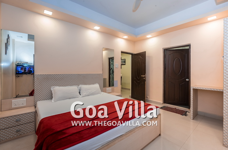 Wild Palms