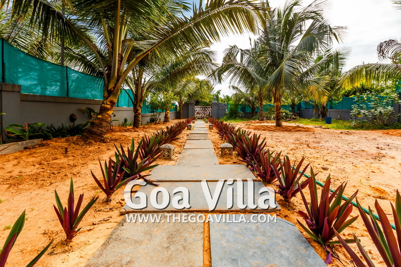 Villa Oliva