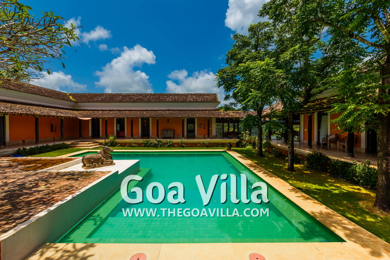 Jungle Villa 1