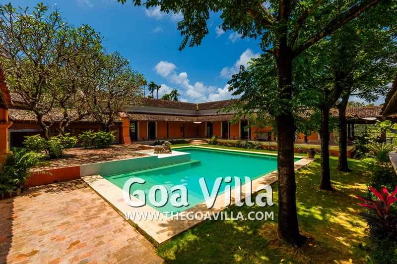 Jungle Villa 1
