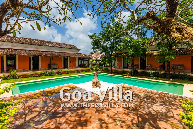 Jungle Villa 1