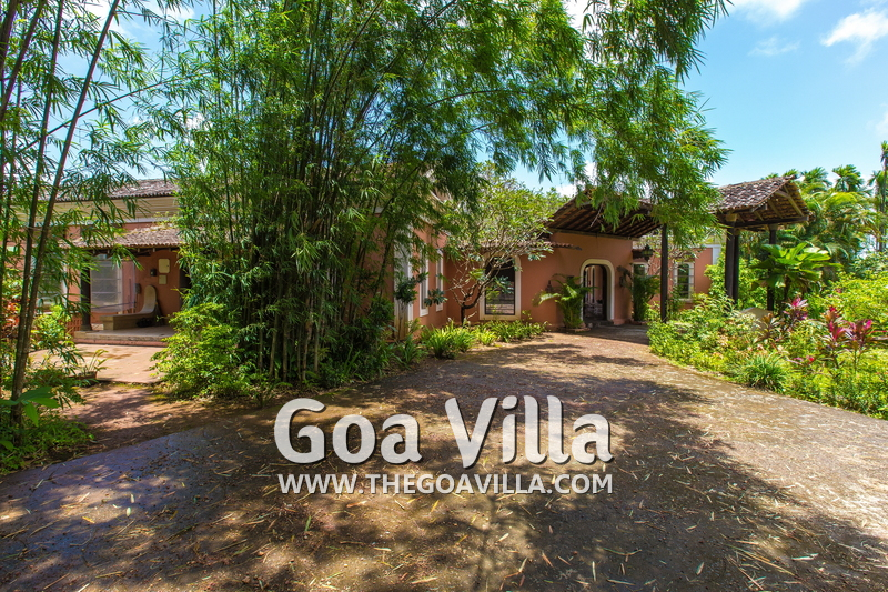 Jungle Villa 1