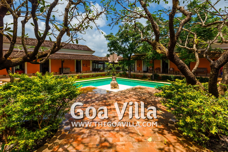 Jungle Villa 1