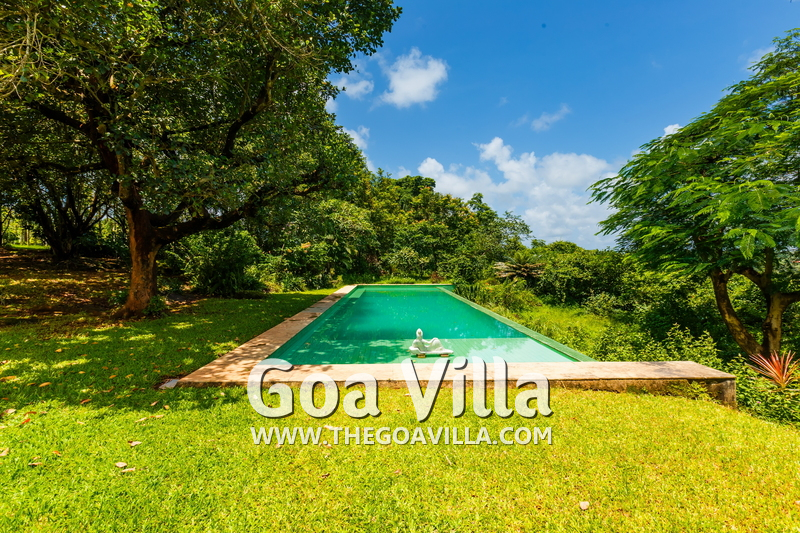 Jungle Villa 2