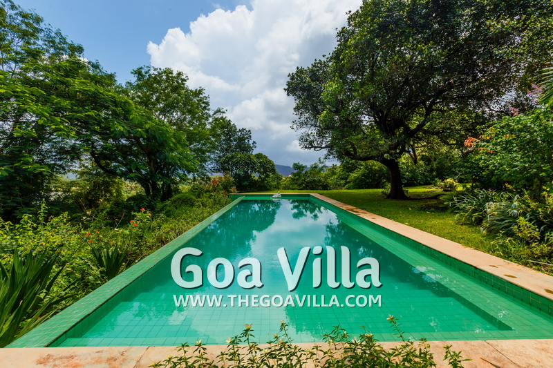 Jungle Villa 2
