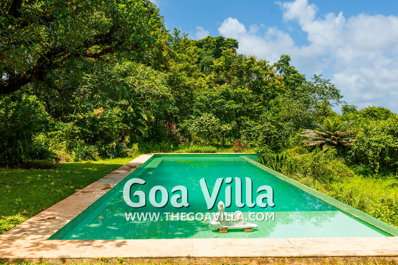 Jungle Villa 2