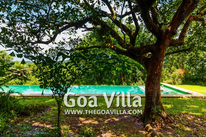 Jungle Villa 2