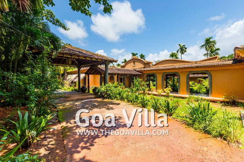 Jungle Villa 2