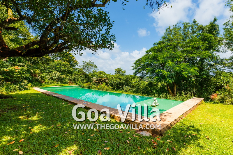 Jungle Villa 2