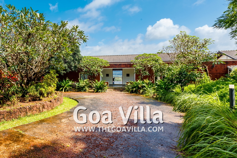 Jungle Villa 3