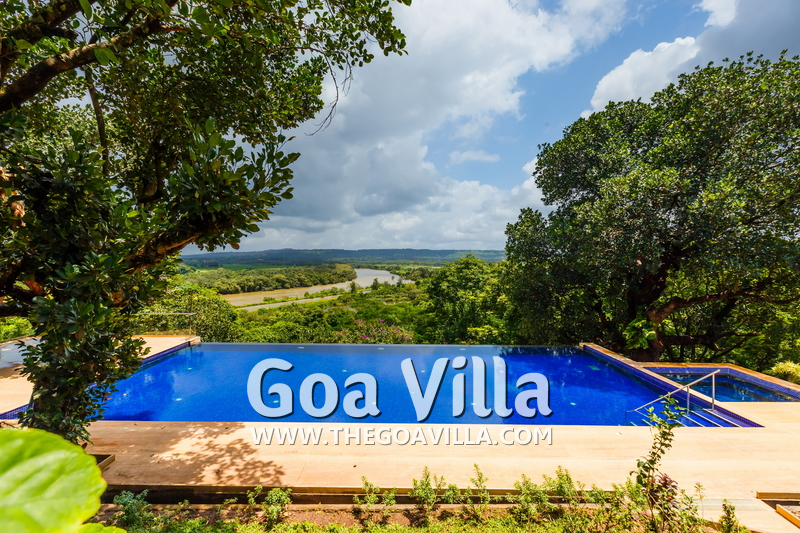 Jungle Villa 3