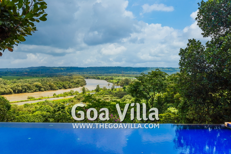 Jungle Villa 3