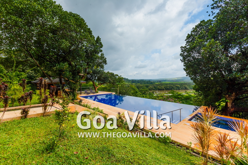 Jungle Villa 3